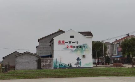 温县新农村墙绘